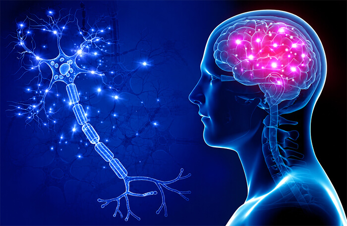 Neurology Specialist
